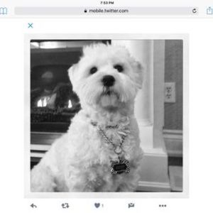 Meet your Posher, Franca